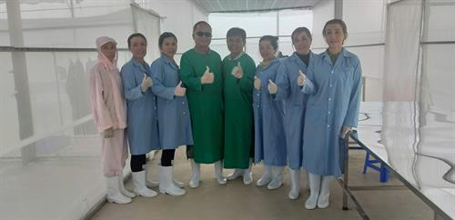 Công Ty TNHH Sản Xuất Hạt Giống Rau Lâm Đài